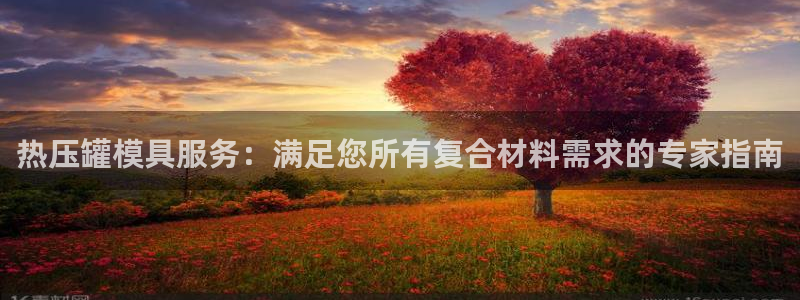 emc全站网页版：热压罐模具服务：满足您所有复合材料需求