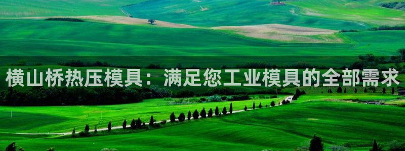 易倍申片：横山桥热压模具：满足您工业模具的全部需求