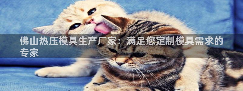 emc易倍官网登录入口：佛山热压模具生产厂家：满足您定制