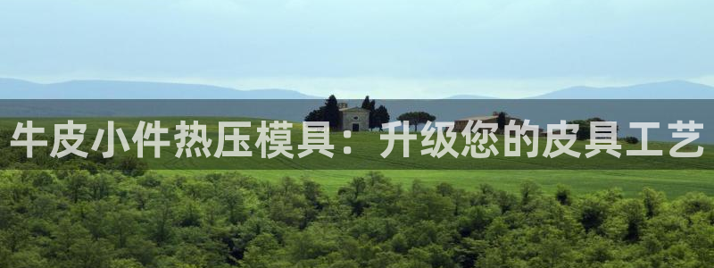 emc登录网站：牛皮小件热压模具：升级您的皮具工艺