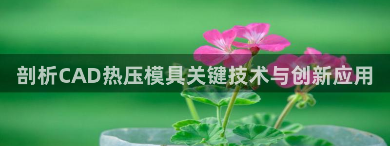 易倍纤价格：剖析CAD热压模具关键技术与创新应用