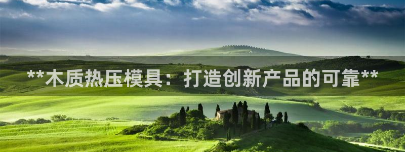 易倍单词官方网站：**木质热压模具：打造创新产品的可靠*