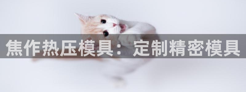 易倍申价格：焦作热压模具：定制精密模具