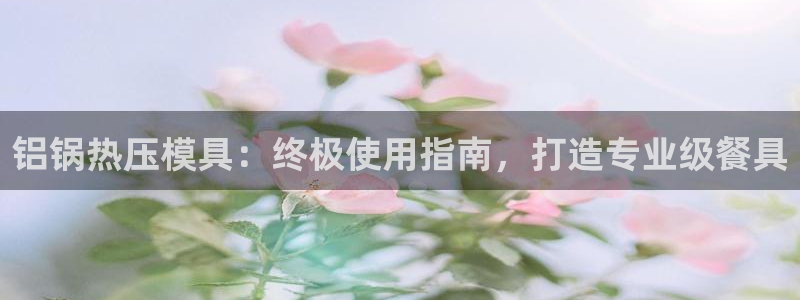 北京易倍思教育科技有限公司：铝锅热压模具：终极使用指南，