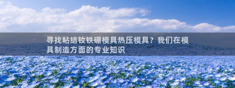 杭州易倍达上班怎么样：寻找粘结钕铁硼模具热压模具？我们在