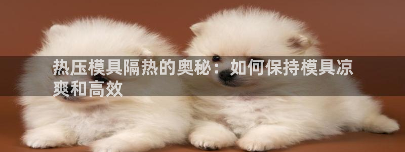 易倍电竞安装教程：热压模具隔热的奥秘：如何保持模具凉
爽
