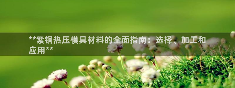 emc32软件安装：**紫铜热压模具材料的全面指南：选择
