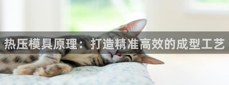 易倍单词app下载：热压模具原理：打造精准高效的成型工艺