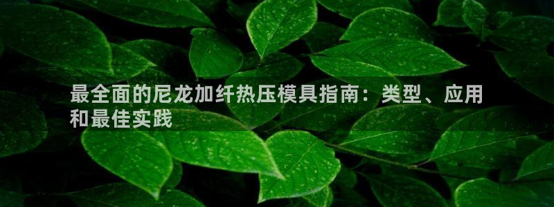 emc全站易倍：最全面的尼龙加纤热压模具指南：类型、应用