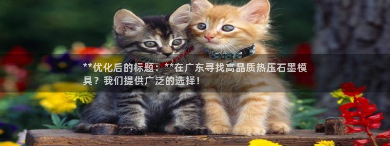 emc易倍平台：**优化后的标题：**在广东寻找高品质热