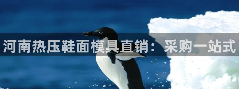 EMC易倍官方网址：河南热压鞋面模具直销：采购一站式