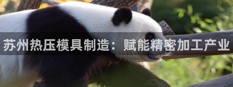 易倍电竞：苏州热压模具制造：赋能精密加工产业