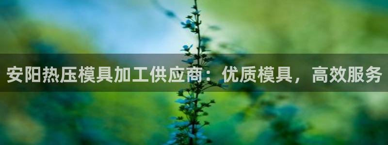 易倍电竞,有球必应：安阳热压模具加工供应商：优质模具，高