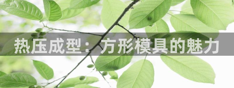 易倍纤代餐奶昔减肥效果怎么样：热压成型：方形模具的魅力