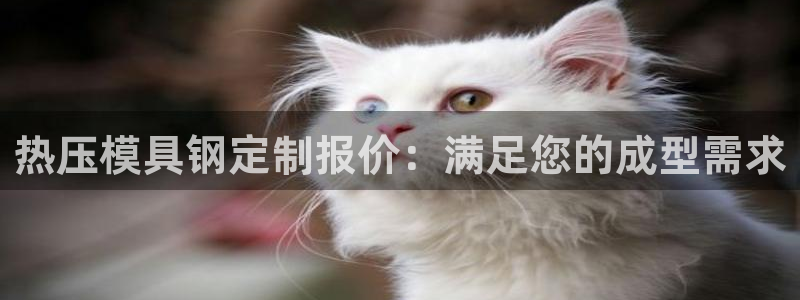 易倍申上市时间：热压模具钢定制报价：满足您的成型需求
