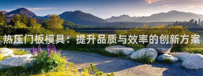 emc易倍全站：热压门板模具：提升品质与效率的创新方案