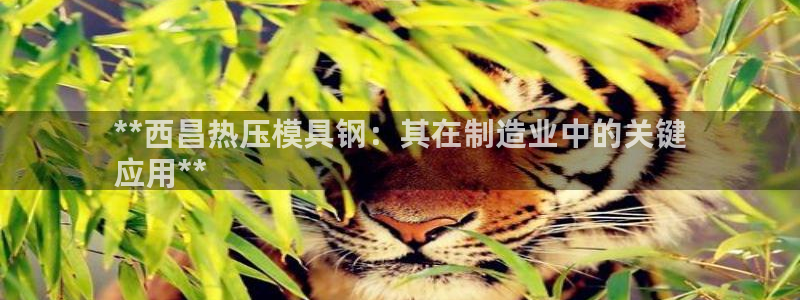 易倍易倍单词官方网站：**西昌热压模具钢：其在制造业中的