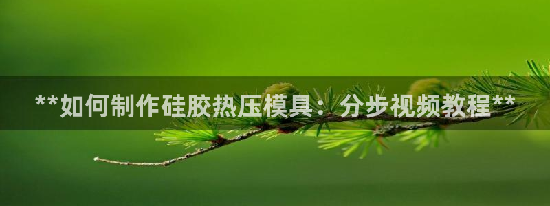 易倍网络技术有限公司招聘：**如何制作硅胶热压模具：分步