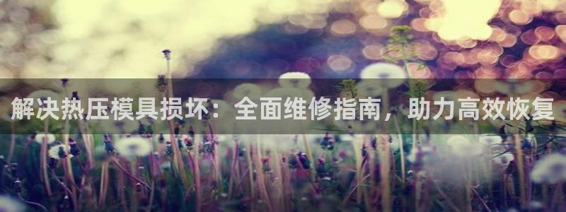 易倍EMC网址：解决热压模具损坏：全面维修指南，助力高效