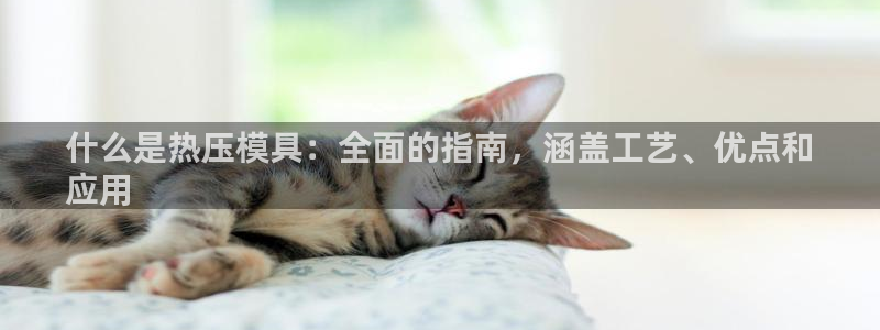 emc易倍官网登录首页：什么是热压模具：全面的指南，涵盖