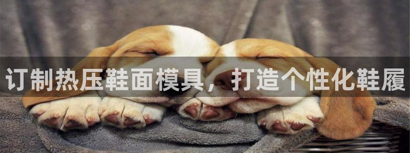 emc易倍官网登录入口：订制热压鞋面模具，打造个性化鞋履