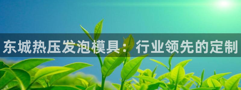 易倍达科技有限公司官网：东城热压发泡模具：行业领先的定制