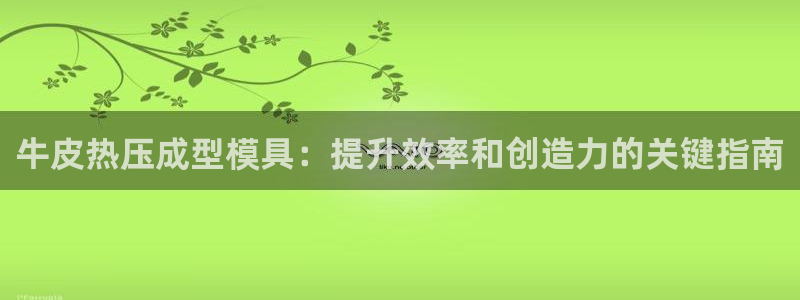 emc易倍登录：牛皮热压成型模具：提升效率和创造力的关键