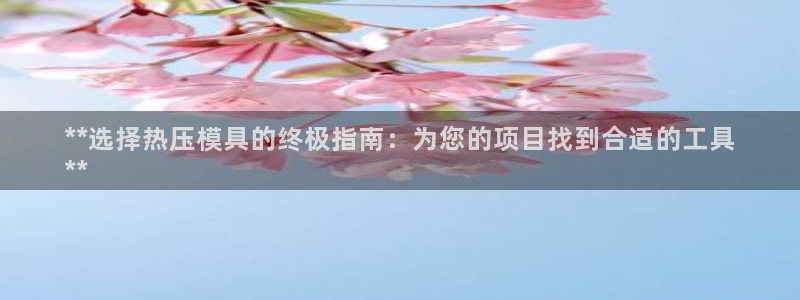 EMC易倍让身份验证：**选择热压模具的终极指南：为您的