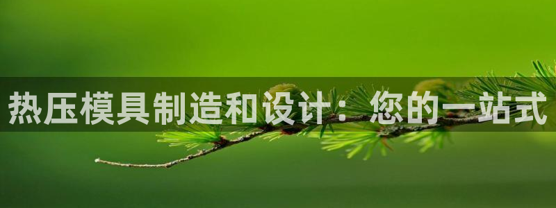 emc全站ag：热压模具制造和设计：您的一站式