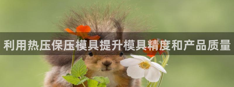 易倍申片的功效与作用：利用热压保压模具提升模具精度和产品