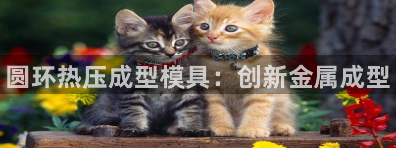 emc32软件使用说明