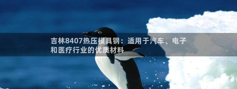 易倍纤多少钱：吉林8407热压模具钢：适用于汽车、电子
