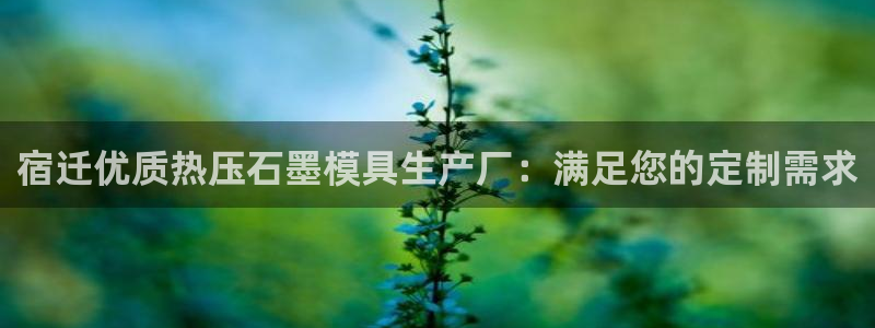 易倍申的副作用：宿迁优质热压石墨模具生产厂：满足您的定制
