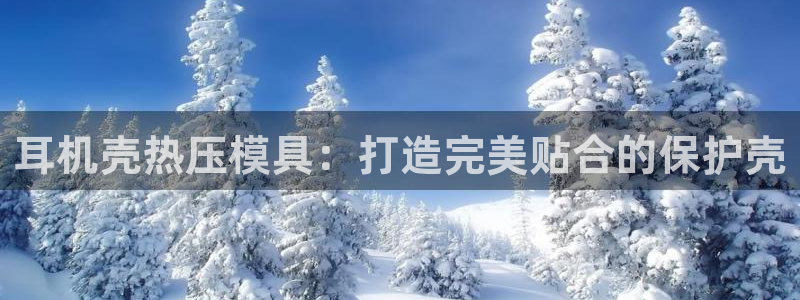 易倍申多少钱一盒：耳机壳热压模具：打造完美贴合的保护壳