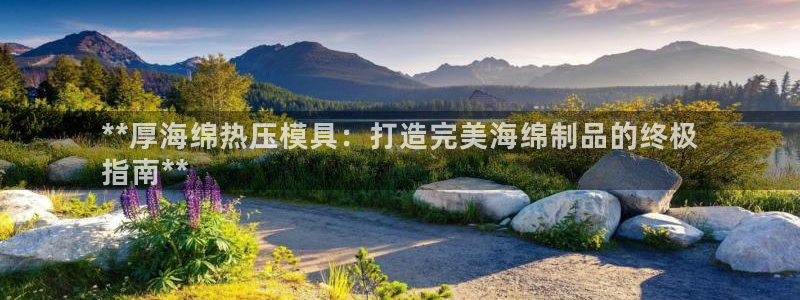 emc倍频干扰怎么解决：**厚海绵热压模具：打造完美海绵