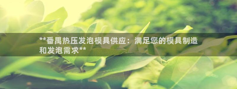 emc易倍老板：**番禺热压发泡模具供应：满足您的模具制