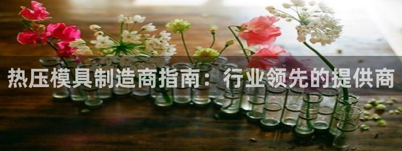 易倍单词官网下载：热压模具制造商指南：行业领先的提供商