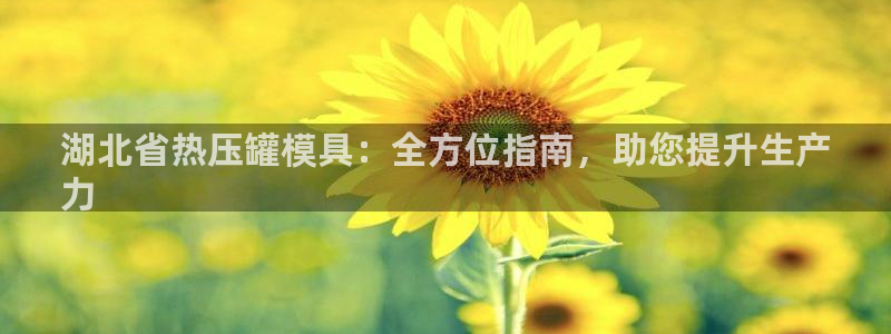 易倍EMC网址：湖北省热压罐模具：全方位指南，助您提升生