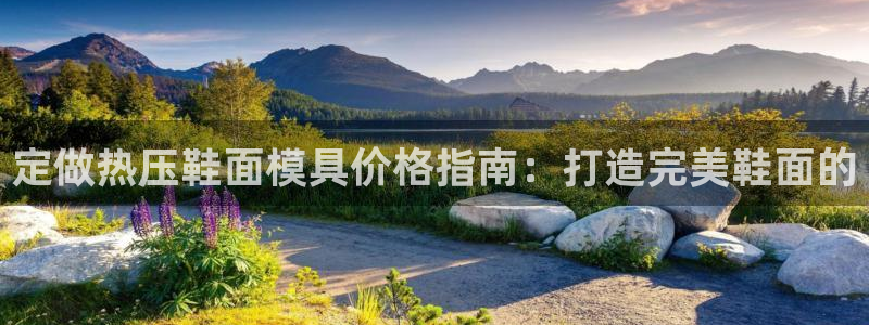 易倍单词平台：定做热压鞋面模具价格指南：打造完美鞋面的