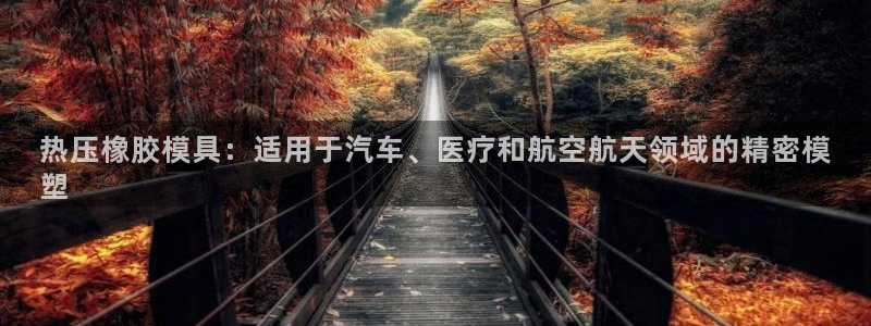 南京易倍易电子科技有限公司