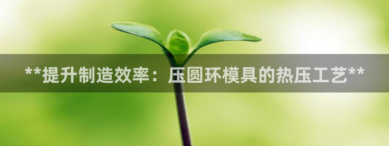 易倍申多少钱：**提升制造效率：压圆环模具的热压工艺**