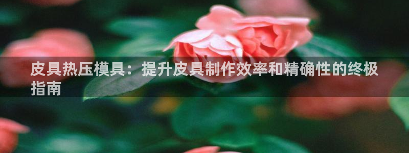 低频的emc用什么滤波：皮具热压模具：提升皮具制作效率和
