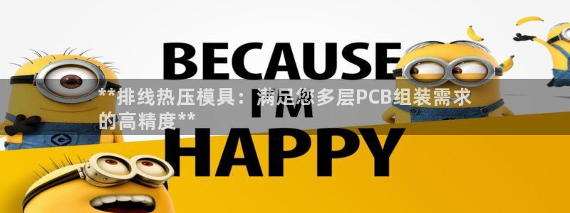 易倍易趣网：**排线热压模具：满足您多层PCB组装需求
