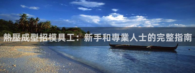 易倍电竞：熱壓成型招模具工：新手和專業人士的完整指南