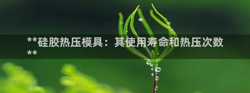 易倍单词官方网站下载安卓：**硅胶热压模具：其使用寿命和