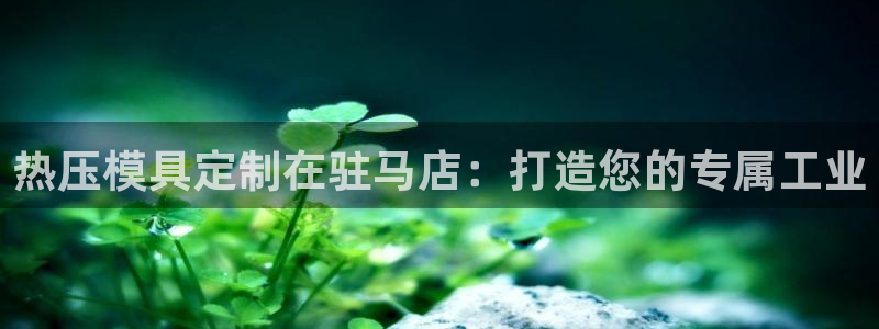 易倍网络技术有限公司