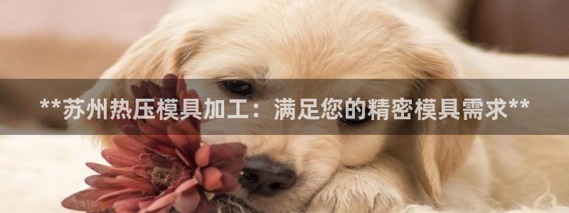 易倍单词官方网站下载安卓
