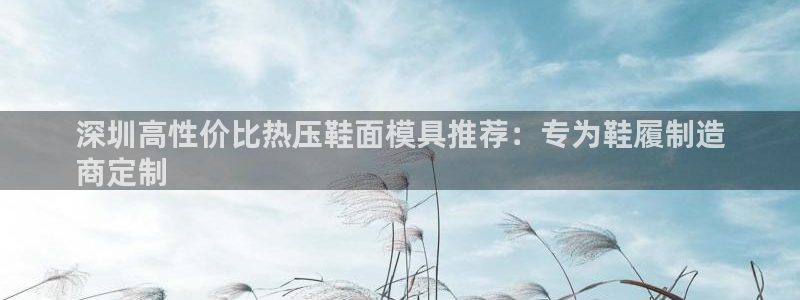 易倍单词软件：深圳高性价比热压鞋面模具推荐：专为鞋履制造