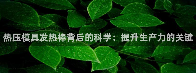 emcapp下载普通下载