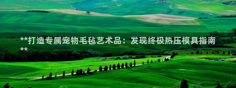 emc易倍官网app：**打造专属宠物毛毡艺术品：发现终